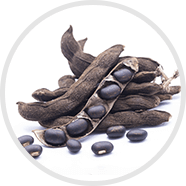 Mucuna Pruriens: For Feelings of Pleasure